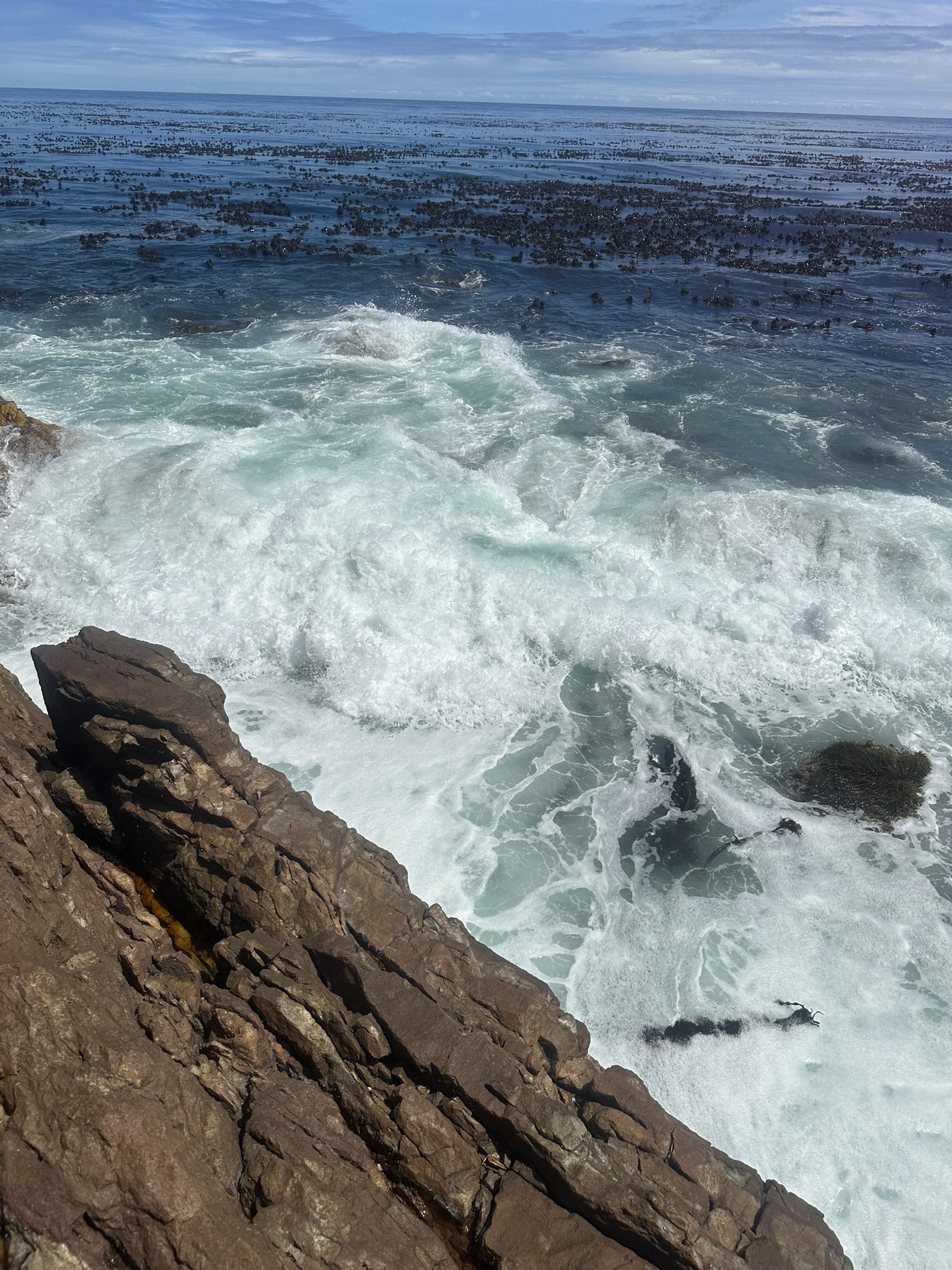 South Africa - Image 411